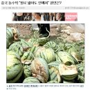 대륙의 수박.jpg 이미지