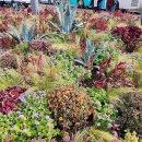 애월읍사무소 이미지