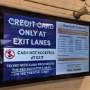 무등네온 | 시카고 세인트 패트릭 데이 후기🍀｜리버 초록 염색, 퍼레이드, Lou Malnati’s 딥디쉬까지