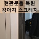 창조의 문 | 강아지 현관문 스크래치 복원하는 곳, 교체 없이 해결한 후기