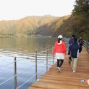 화천장뇌삼 | [스크랩] 화천에서 만나는 가을, 콩꺽고 ․김장배추수확과 단풍속 산소길 팸투어