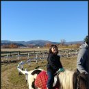 돈구농장 이미지