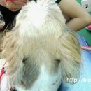 가파민박 이미지