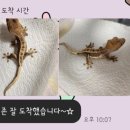 크레도니아 팔달구청점