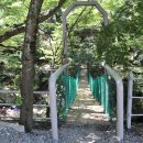 &#34;강당골 계곡&#34; 이미지