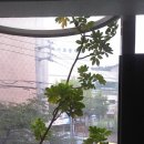 가야1동주민센터 이미지