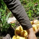 오케이씨농장 이미지