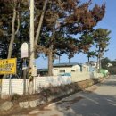 바다와솔숲 | 태안 캠핑장 곰섬킹콩솔숲캠핑장 ⭐️⭐️⭐️⭐️ 바다와 솔숲이 만든 최고의 오션뷰 애견동반 캠핑장