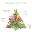 지속력 좋은 비누향, 산타마리아노벨라 향수 <b>멜로그라노</b> 오드코롱