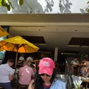 함앤장군산요가원 | 발리에서 요가하기 - 짱구/스미냑/우붓 요가원 3대장 (feat. 코워킹 스튜디오 B-work)