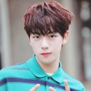 쎈스노래노래 네이버블로그