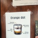 타이니 | 미추홀구 대형 로스터리 카페, 타이니닷 방문 후기