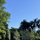 THE CAFE Knitting coffee | 12월, 호주 카페 방문 기록: ‘AUS Coffee Tour’ 브리즈번