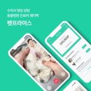 원 동물병원 이미지