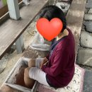 항노화힐링누리원 이미지
