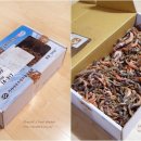 서경민박 이미지