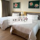 오션뷰컨트리클럽 | 세부 두짓타니 클럽룸 오션뷰 및 수영장 후기