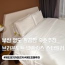 브라운도트 영도대교점 | 부산 영도 숙소 추천 브라운도트 넷플릭스 가성비 호텔