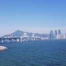 용호동 섶자리 이미지