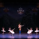 대구경북발레 페스티벌 이미지