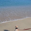 수산물직판장(3호) | [강릉/사천해변] 애견동반 여행/일정 (카페,누룽지오징어,수산물시장 등)-1