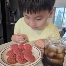 비트디자인 | [유진팜] 흙맛 없는 프리미엄 평창 레드비트! 영양만점 비톡쿠키 & 비트진액 리얼 후기
