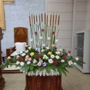 성전농장 이미지