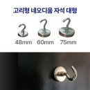 네오디움 이미지