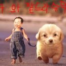 파트라슈 - 구리시 갈매순환로204번길 15-10 | 파트라슈