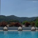 책속에풍덩Terrace 이미지