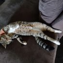 우람목장 이미지