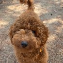 똘이살롱 이미지