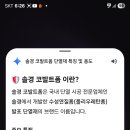 솔경
