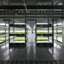 First Farm 이미지