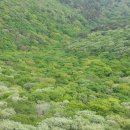 기쁨두배주유소 이미지