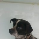 이송농장 이미지