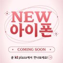 KT플라자 앞 이미지