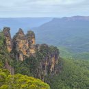 블루마운틴 이미지