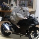 첨단강변로 이미지