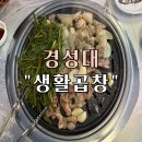 경성대부경대역 | 경성대부경대역 곱창 맛집 “생활 곱창” 후기