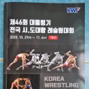 대통령기 전국시. 도대항레슬링대회 개인전 역대전적 金 31개, 은 28개, 銅 41개, 총 100개 메달 획득[慶祝] 이미지