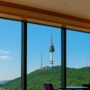 회나무 작은도서관 | [정보/여행] 남산 둘레길 산책부터 남산뷰 맛집·카페·숙소까지 (반려견 동반 가능 정보 포함)