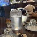 월곡역 2번출구(농협 앞) | 월곡역 맛집, 애견동반식당 스페인 음식 비스트로 '빌라드코스테스(villa de costes)'