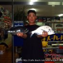 온평리-11 이미지