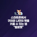 헬로펫 이미지