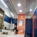 호박넝쿨 이미지