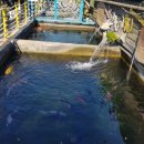 (주) 피싱파크 진산각 이미지