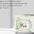 푸티