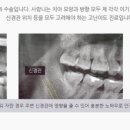 연세본치과의원 이미지