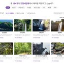 강구농협하나로마트 건너편 | 제주도 가족여행 1일차 : 제주평화렌터카 • 우진해장국(고사리해장국) • 하나로마트 성산일출봉농협 본점